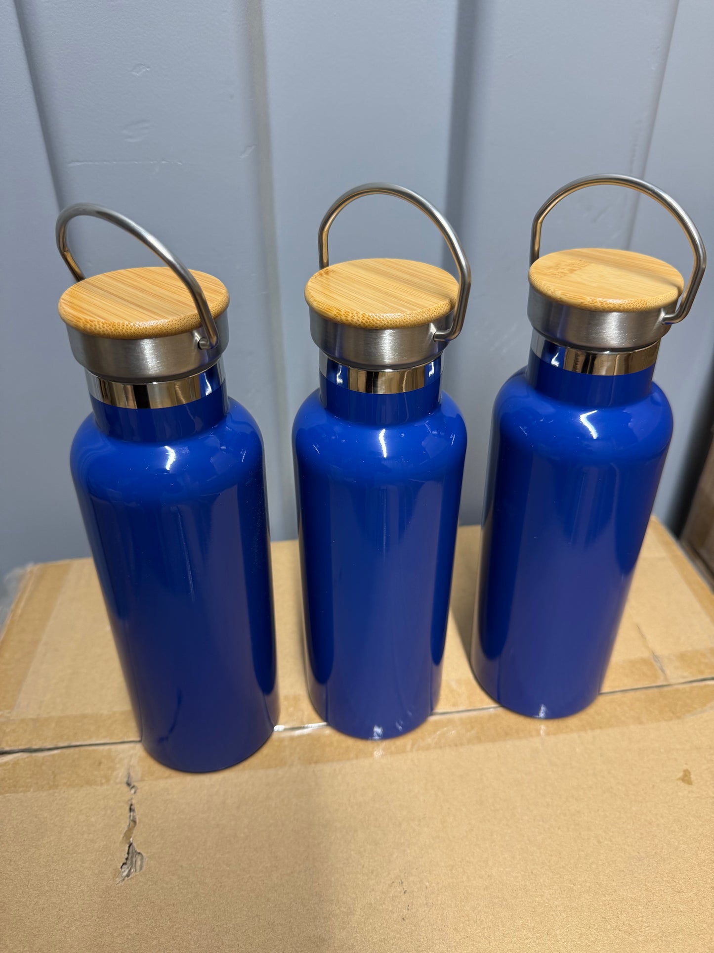 3X Stainless steel blue double walled 500ml water bottles