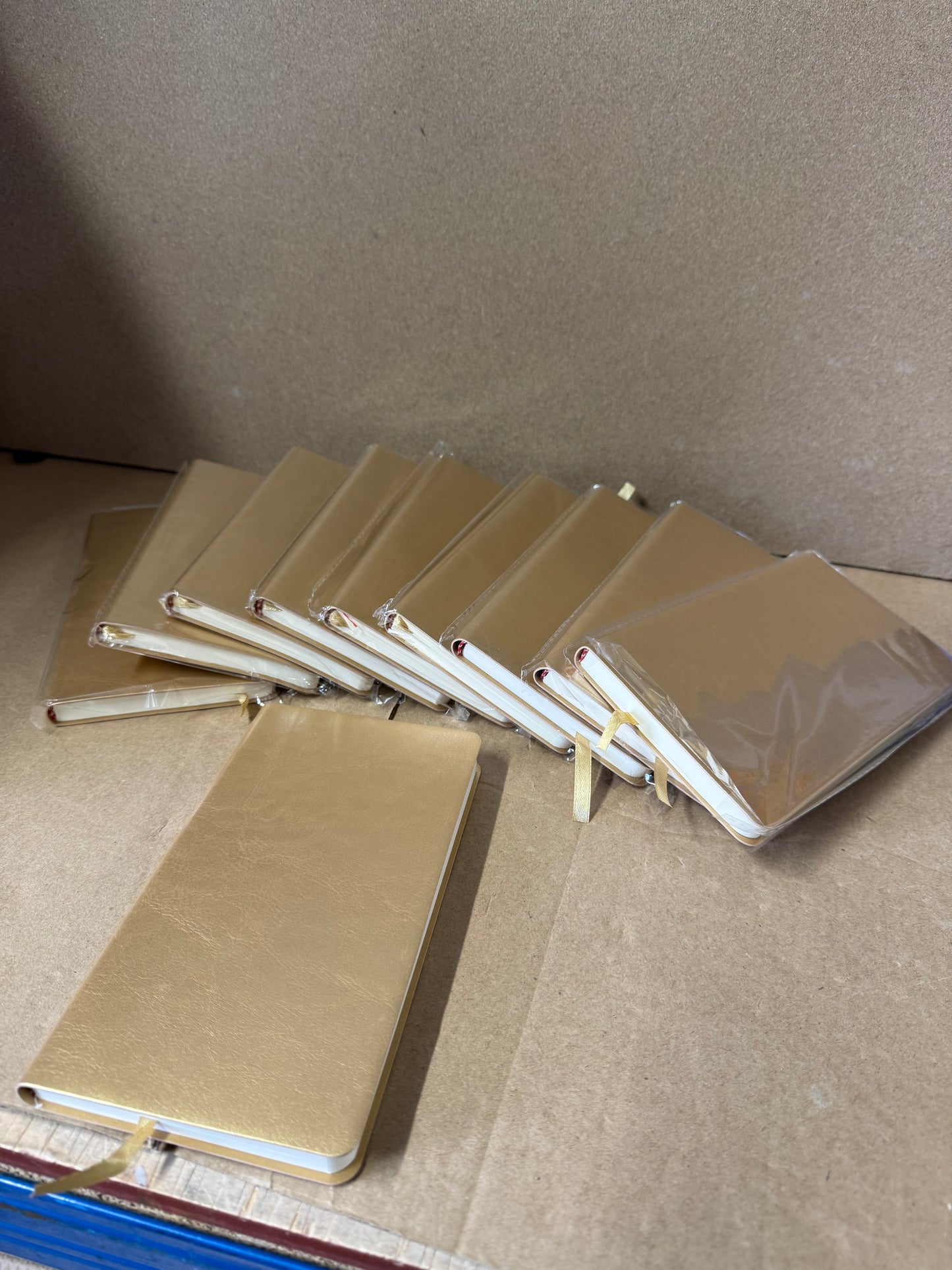 Bundle of 10 slim gold notebooks