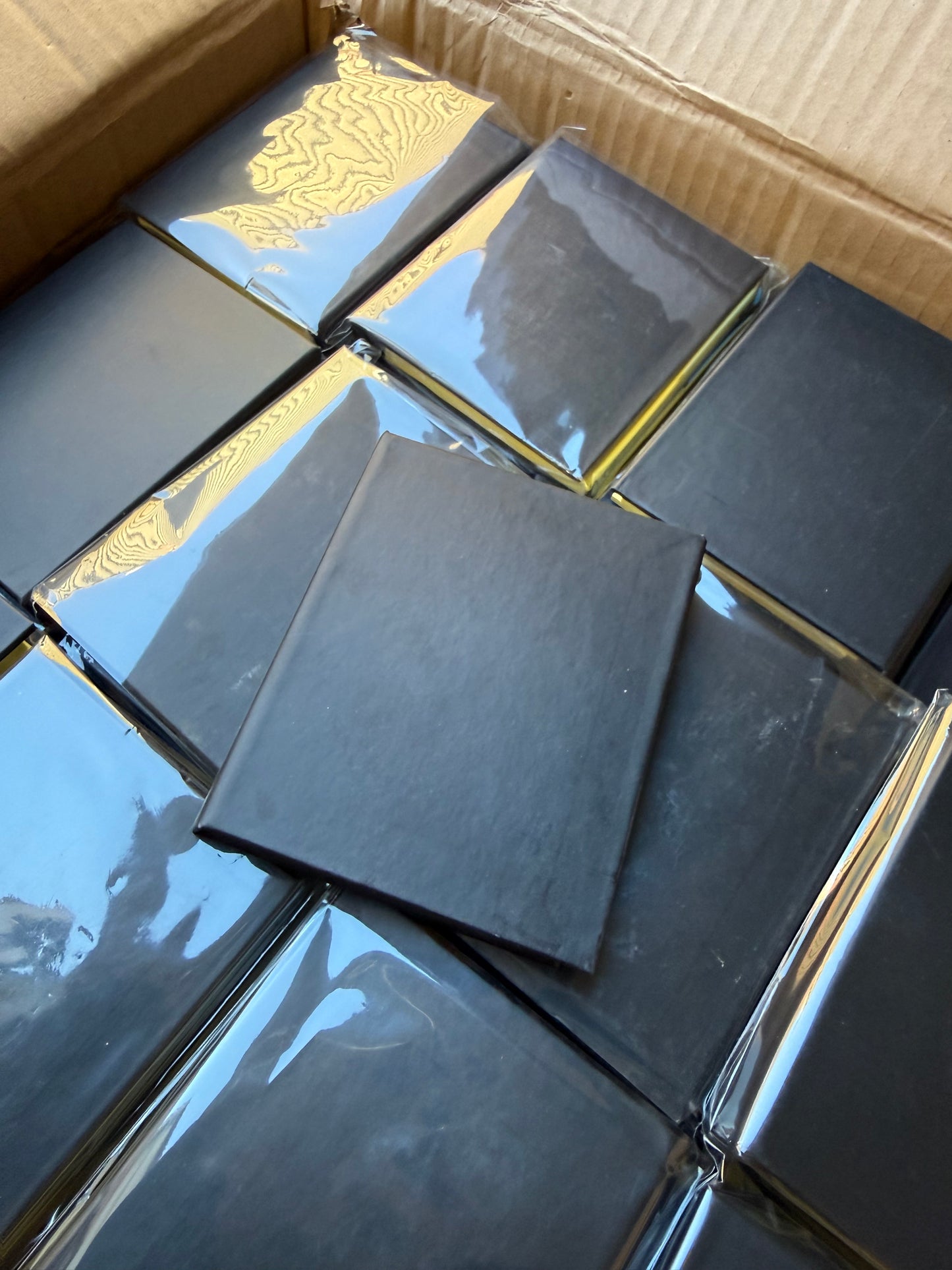 Bundle of 20 Desk buddy black sticky note wallets