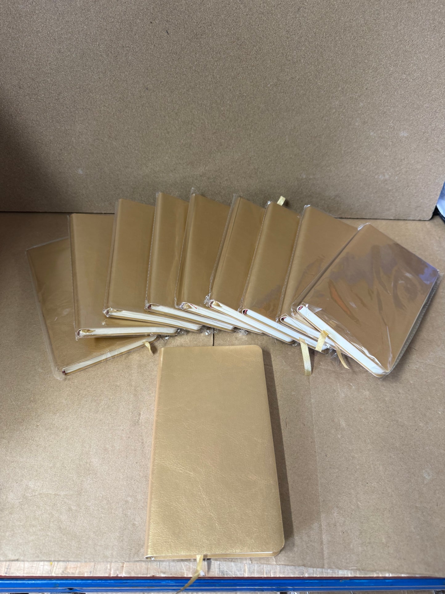 Bundle of 10 slim gold notebooks